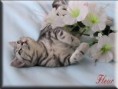 /album/fotogaleria/obrazek34-jpg/