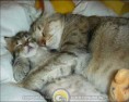 /album/fotogaleria/obrazek40-jpg/