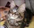 /album/fotogaleria/obrazek71-jpg/