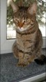/album/fotogaleria/obrazek73-jpg/