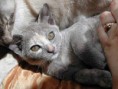 /album/fotogaleria/obrazek87-jpg/