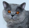 /album/fotogaleria/obrazek98-jpg/
