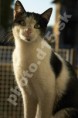 /album/fotogaleria/obrazek99-jpg/