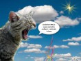 /album/fotogaleria/pizap-com13182701547651-jpg/